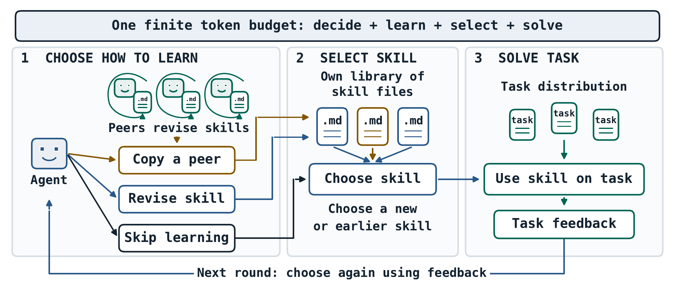 An agent chooses to copy a peer, revise a skill, or skip learning, then selects a saved skill and solves a task, all under one finite token budget