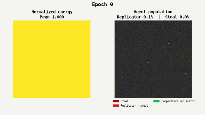 A computational soup evolving from random Z80 programs into a population of cooperative self-replicators